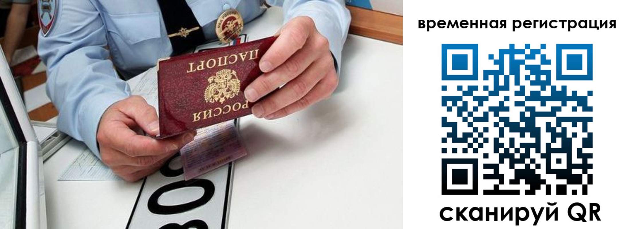 прописка гарантия в Луховицах
